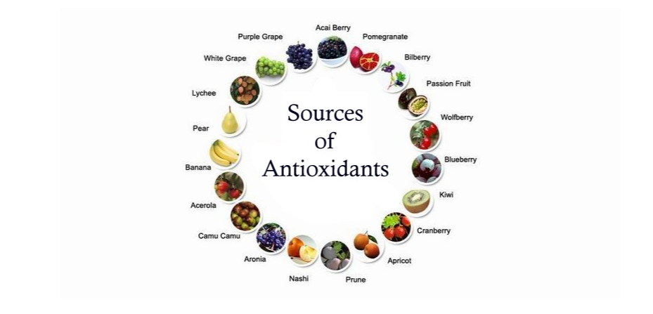 Antioxidants Disease Prevention Expert – Latest Research 2022