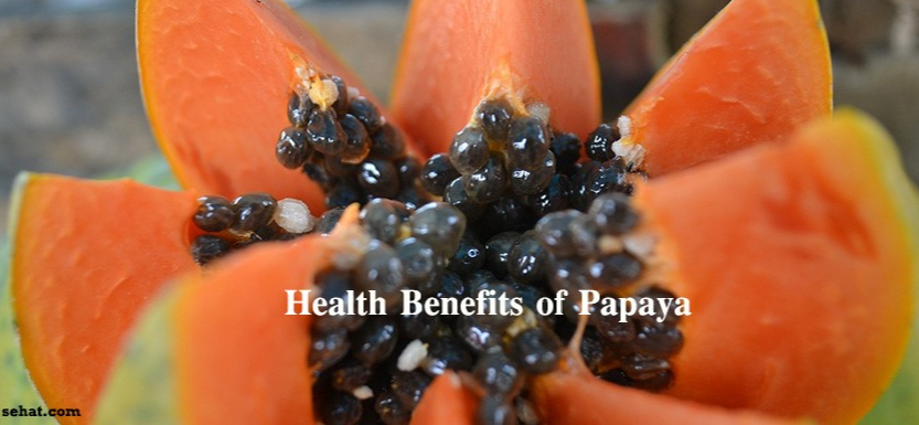 Papaya Nutrition Fruit is King – Latest and Best Research 2022